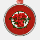 Search for hibiscus christmas tree decorations Red