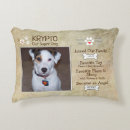 Search for poem cushions Rainbow bridge
