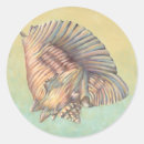 Search for seashell painting stickers Sea life