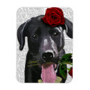 Search for red deer magnets Flowers