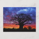 Search for african nations postcards Tree