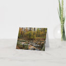 Search for reflecting cards Autumn
