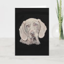 Search for grey dog cards Blue