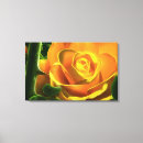 Search for dewdrops art Rose