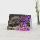 Search for shih tzu cards Flowers