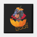 Search for sausage dog magnets Puppy