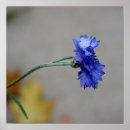 Search for chill art Cold