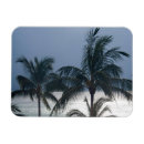 Search for blue palm tree magnets Sky
