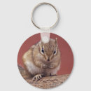 Search for chipmunks key rings Squirrel