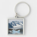Search for icebergs key rings Blue