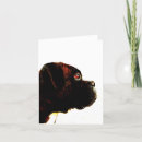 Search for brindle photography Pets