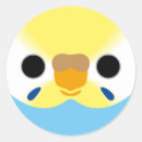 Search for budgerigar stickers Bird
