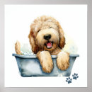 Search for labradoodle dog posters Puppy