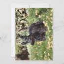 Search for scottie invitations Pet