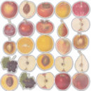 Search for vintage fruit illustration stickers Food