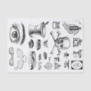 Search for apothecary tissue paper Skull
