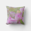 Search for sweet pea cushions Pink
