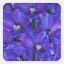 Search for blue petals stickers Purple