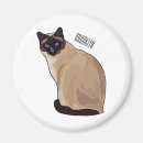 Search for siamese magnets Thailand