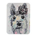 Search for girl birthday rectangular magnets For her