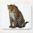Search for leopard mousepads Wild