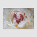 Search for shiny tissue paper Red
