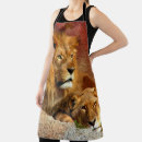 Search for lions aprons Animal