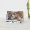 Search for waking up cards Cat