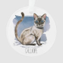 Search for lynx point siamese Pets