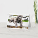 Search for cane corso cards Photography