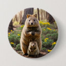 Search for marsupial badges Quokka