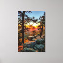 Search for 24x36 posters Nature