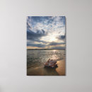 Search for beach shells canvas prints Ocean