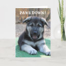 Search for downs cards For him