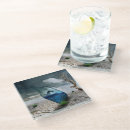 Search for dolphin coasters Nature
