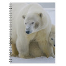 Search for polar bear notebooks Nature