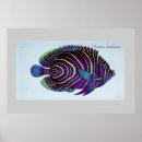 Search for angelfish art Sea