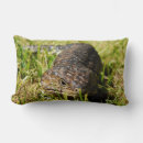 Search for lizard cushions Reptile