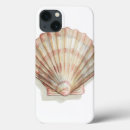 Search for colourful sea shells electronics Beach