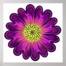 Search for dahlia flower posters Vibrant