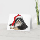 Search for havanese christmas cards Adorable