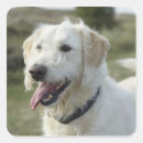 Search for land animal stickers Horizontal