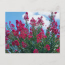 Search for gardener photography Nature