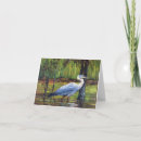 Search for foul cards Bird