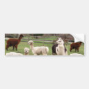 Search for llama bumper stickers Farm
