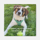 Search for dog photo save the dates Modern