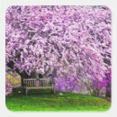 Search for bench stickers Green