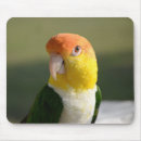 Search for cute parrot mousepads Nature