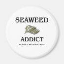 Search for seaweed magnets Kelp