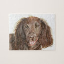 Search for spaniel puzzles Dog